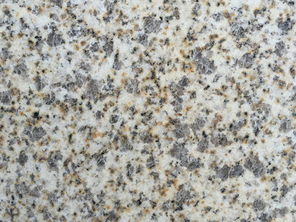 �S�������S����